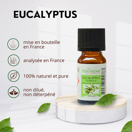 Eukalyptus æterisk olie - 100% naturlig - 10 ml