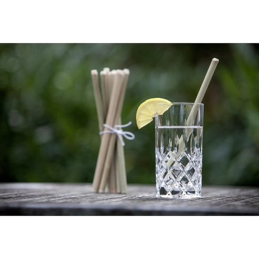 Bambus sugerør 6pk med rensebørste