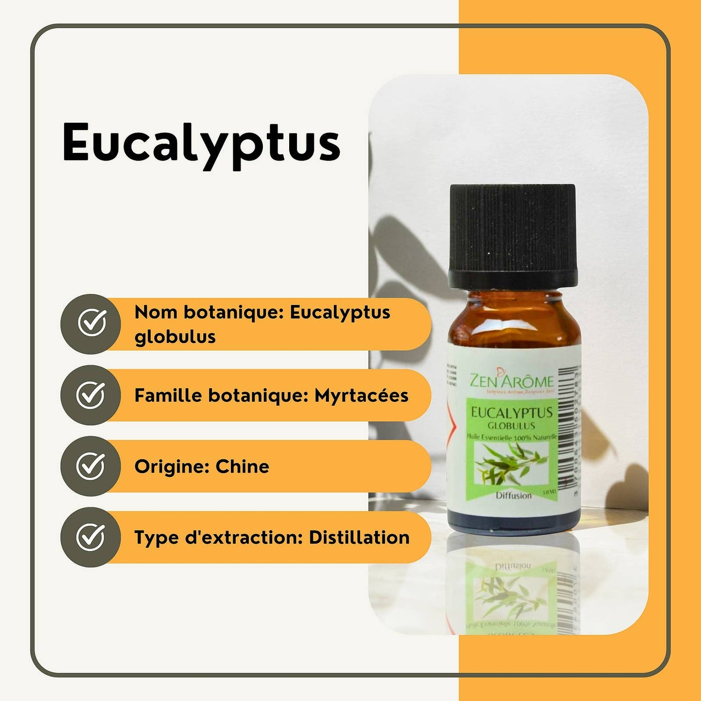 Eukalyptus eterisk olje – 100 % naturlig – 10 ml 🌿✨