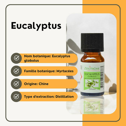 Eukalyptus eterisk olje – 100 % naturlig – 10 ml 🌿✨