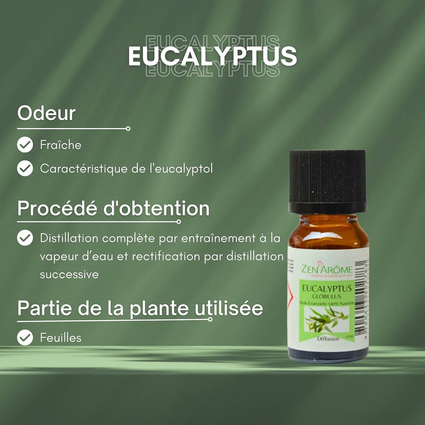 Eukalyptus eterisk olje – 100 % naturlig – 10 ml 🌿✨