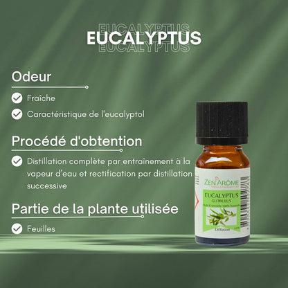 Eukalyptus eterisk olje – 100 % naturlig – 10 ml 🌿✨