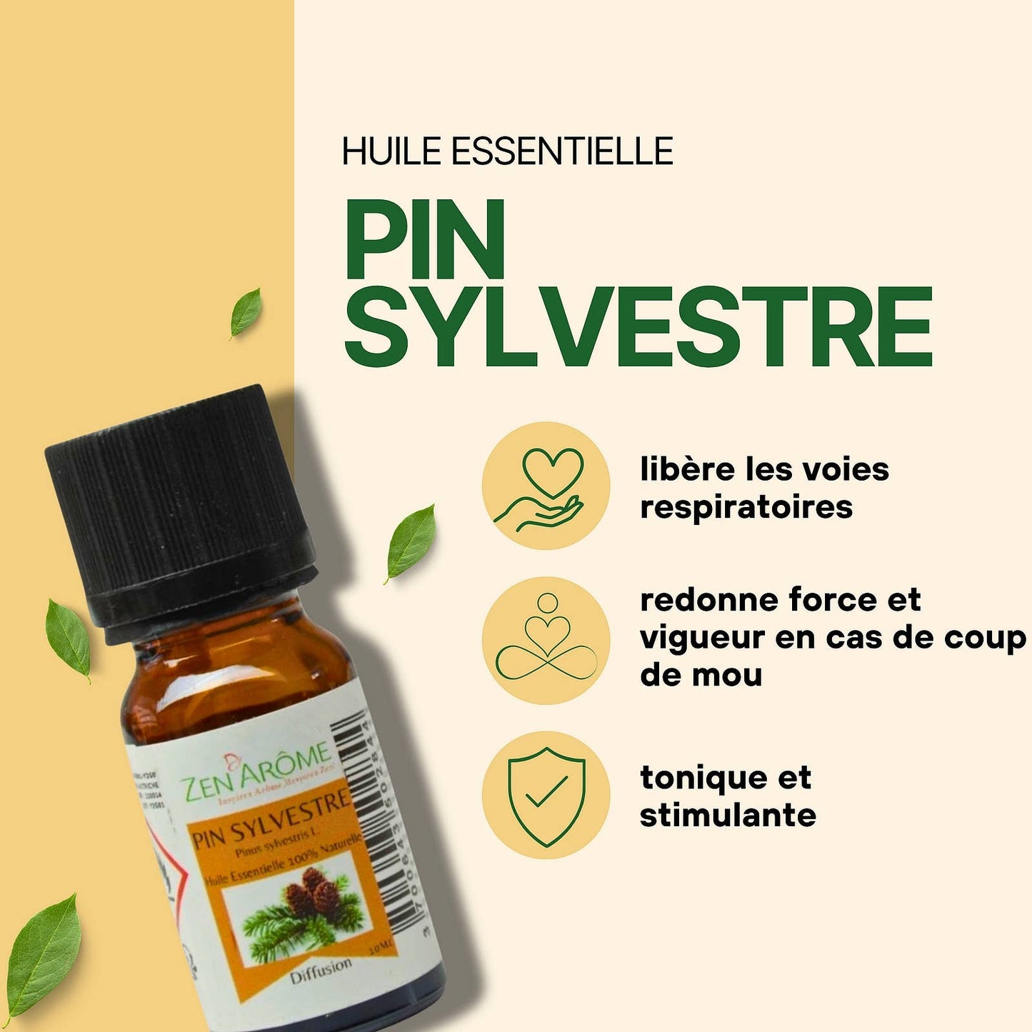 Furu eterisk olje – 100 % naturlig – 10 ml 🌲✨