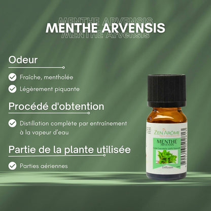 Åkermynte eterisk olje – 100 % naturlig – 10 ml