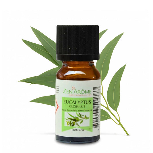 Eukalyptus eterisk olje – 100 % naturlig – 10 ml 🌿✨