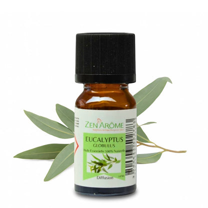 Eukalyptus eterisk olje – 100 % naturlig – 10 ml 🌿✨