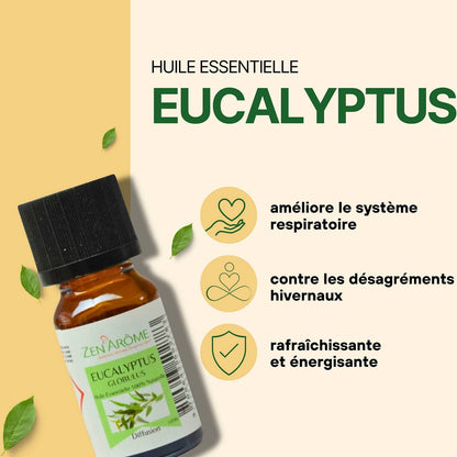 Eukalyptus eterisk olje – 100 % naturlig – 10 ml 🌿✨