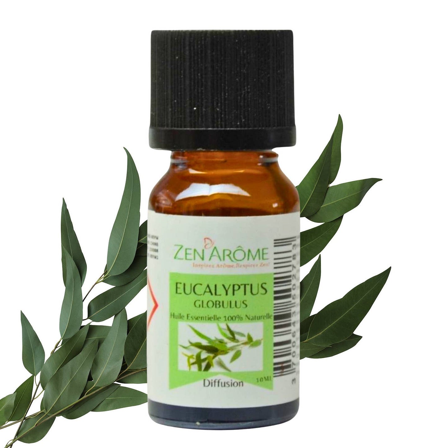 Eukalyptus eterisk olje – 100 % naturlig – 10 ml 🌿✨