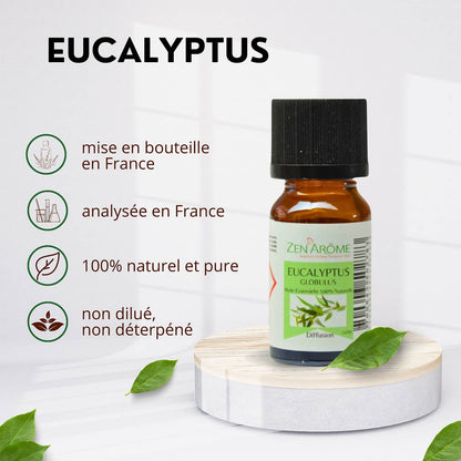 Eukalyptus eterisk olje – 100 % naturlig – 10 ml 🌿✨
