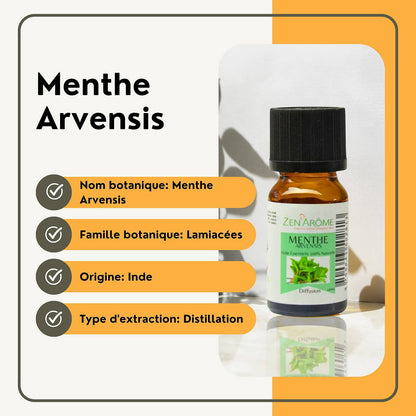 Åkermynte eterisk olje – 100 % naturlig – 10 ml
