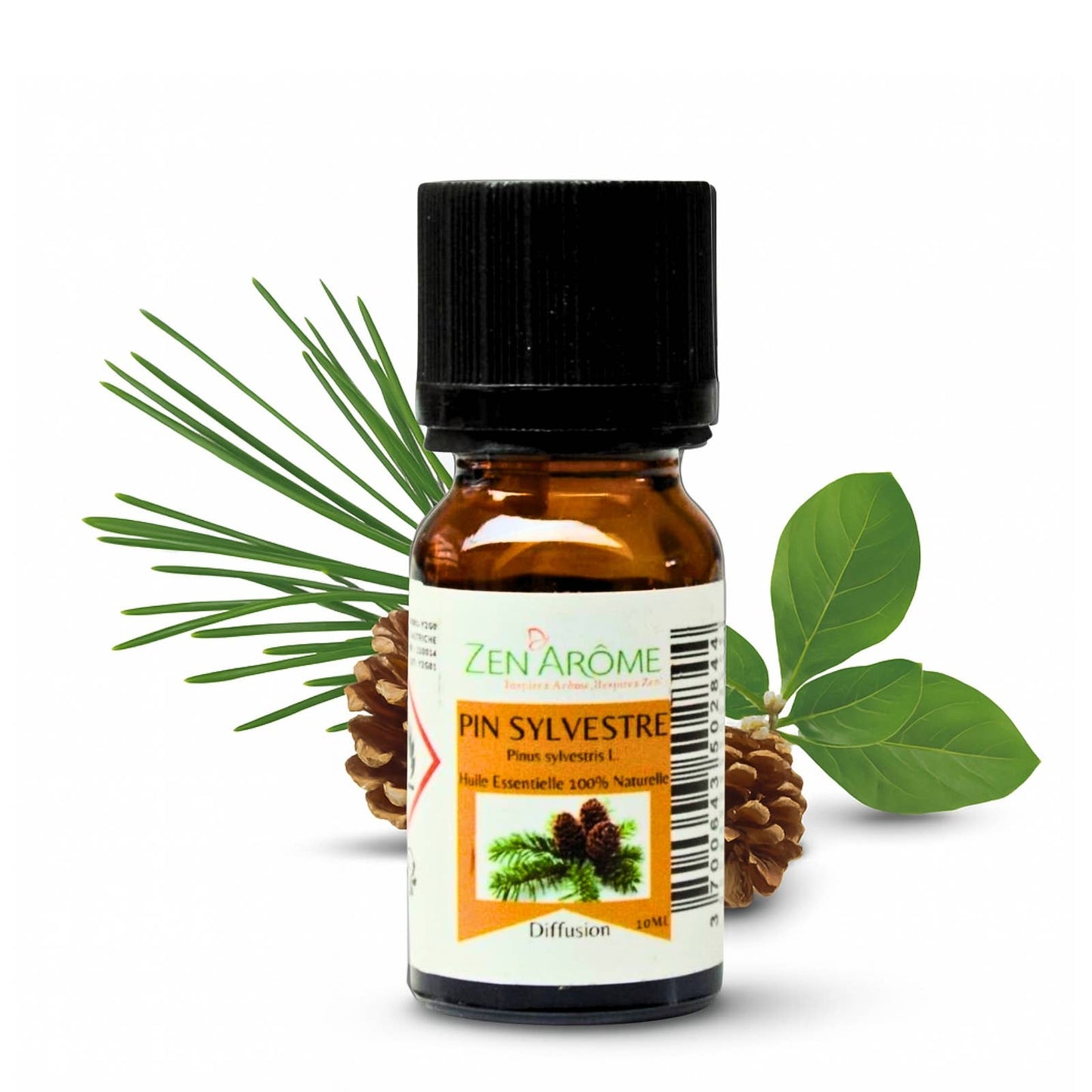 Furu eterisk olje – 100 % naturlig – 10 ml 🌲✨