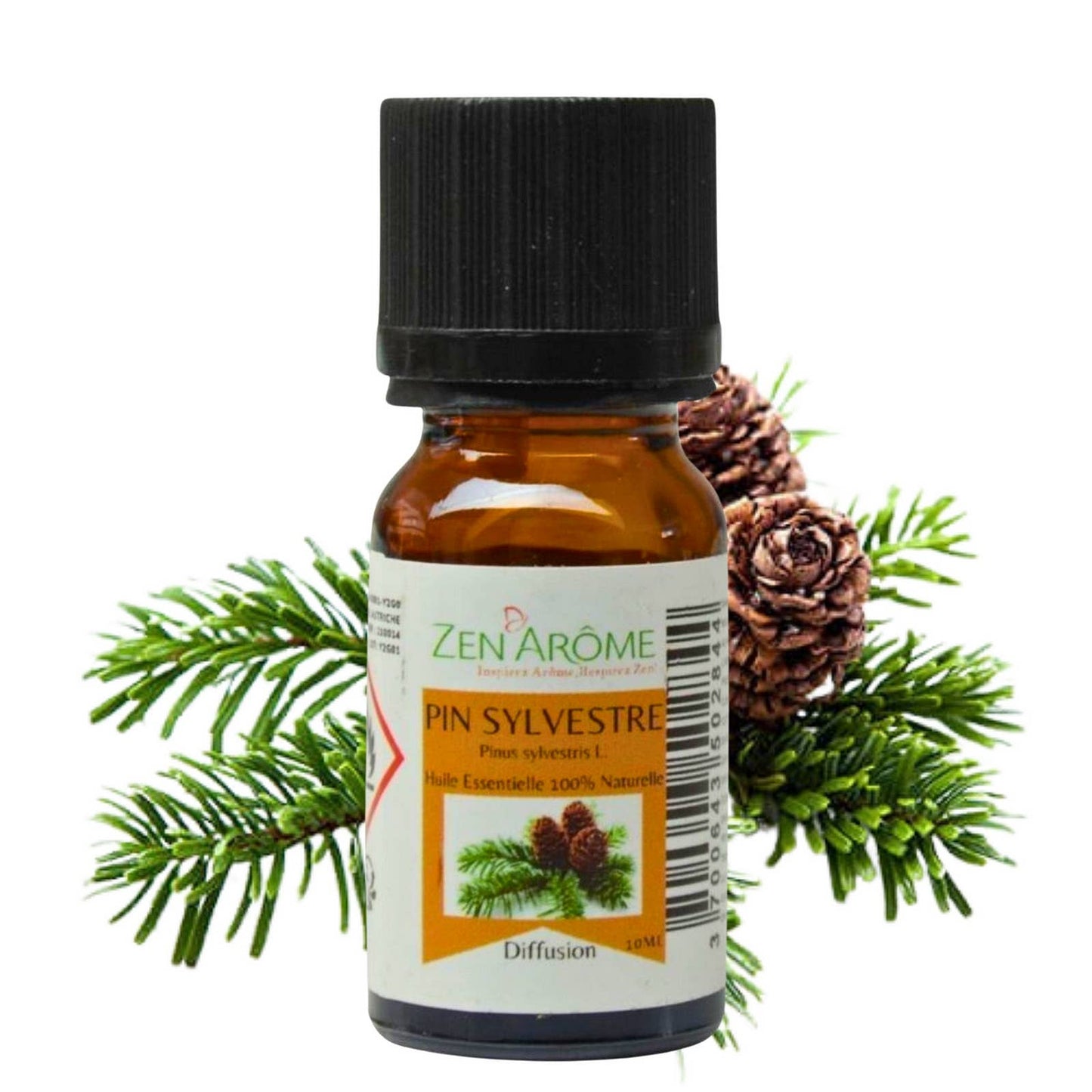 Furu eterisk olje – 100 % naturlig – 10 ml 🌲✨