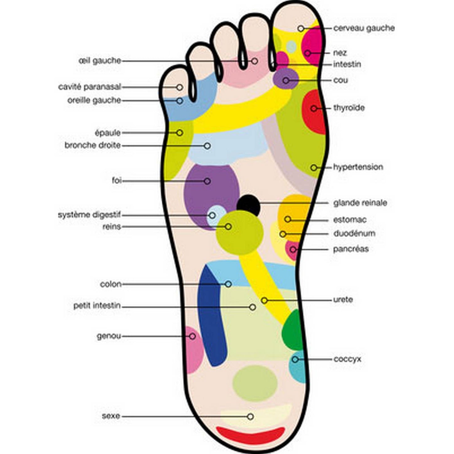 Træ fodmassagerulle