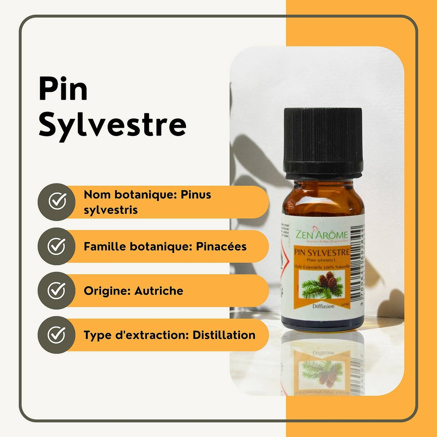 Furu eterisk olje – 100 % naturlig – 10 ml 🌲✨